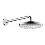 Потолочная душевая лейка Hansgrohe Raindance Select S 240 Ecosmart с держателем Потолочная душевая лейка Hansgrohe Raindance Select S 240 Ecosmart с держателем